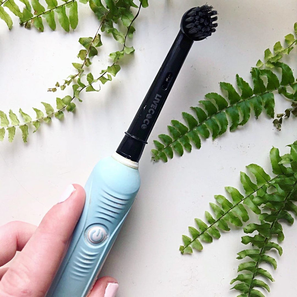 Recyclable Brush Heads-Oral-B* Compatible-12 Brush Heads