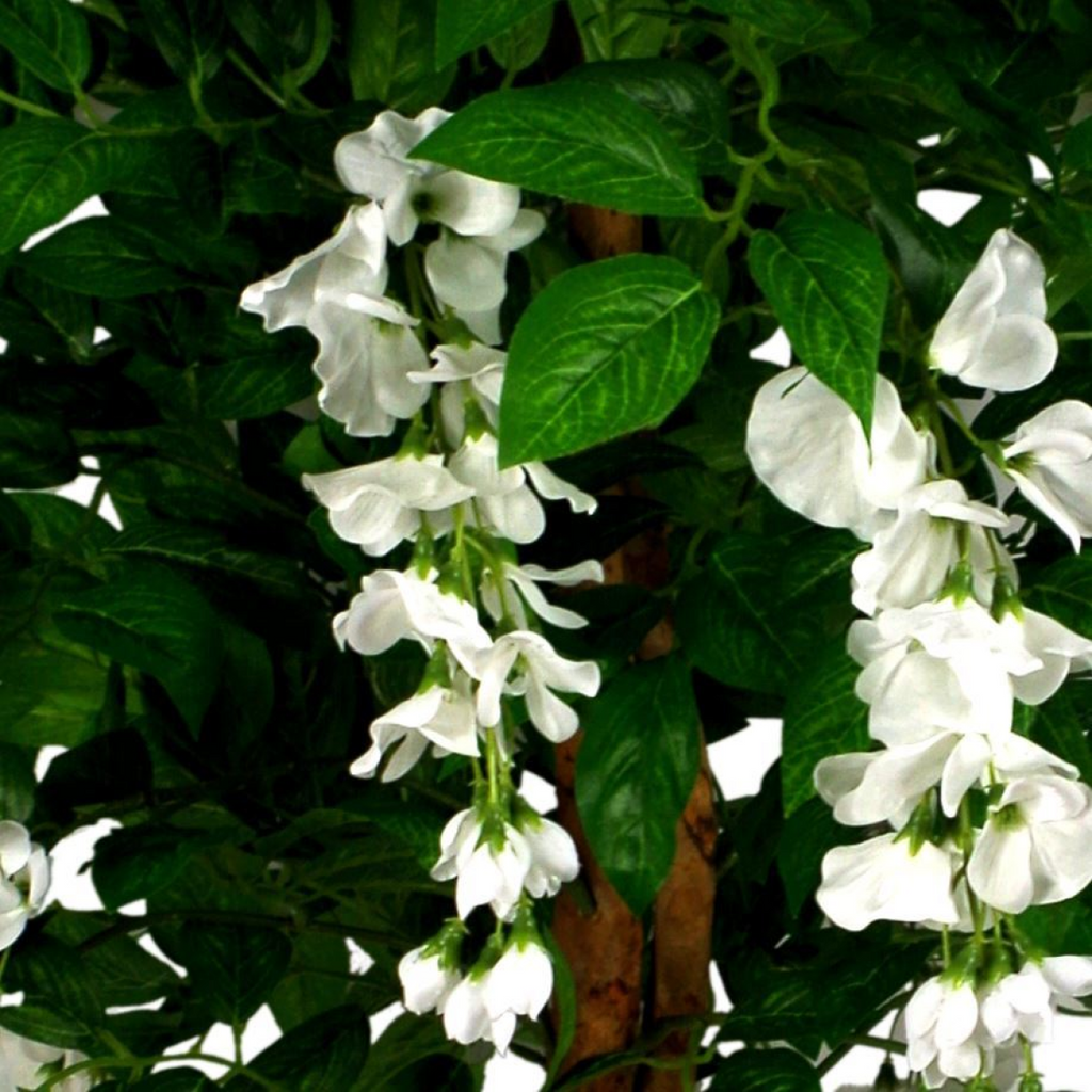 130cm Luxury Artificial Wisteria Tree with White Flowers and Gold Metal Planter