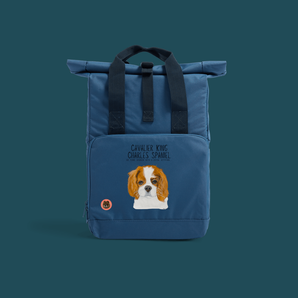 Sustainable Backpack with Cavalier Attitude