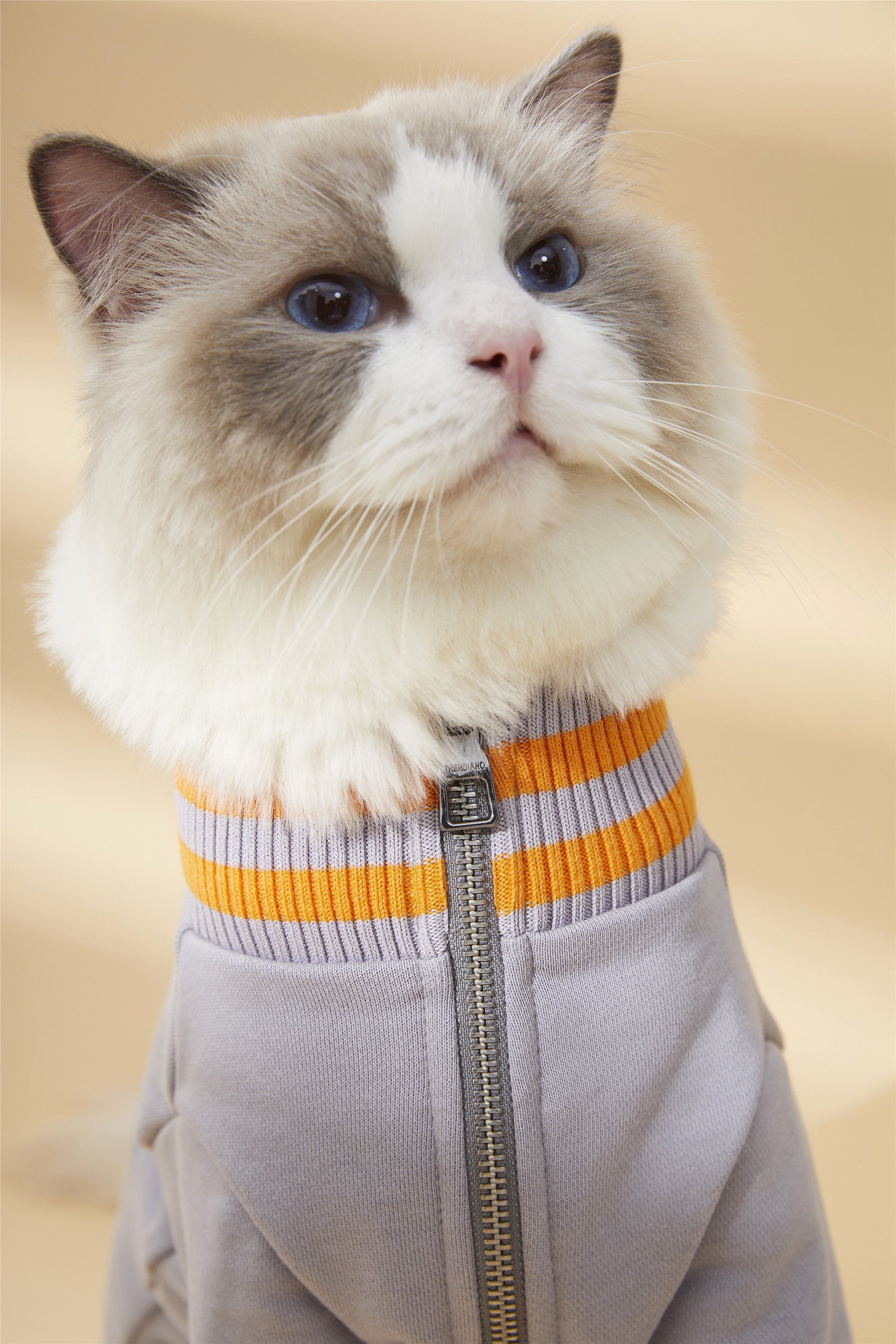 Contrast Turtleneck Thin Jacket