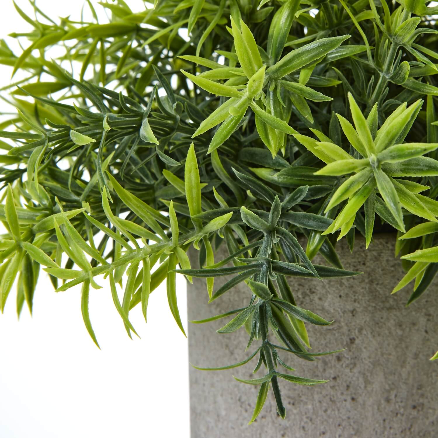 Lifelike small bamboo plant in grey concrete-look pot, vibrant green foliage, perfect for desks and shelves. by sostter at brixbailey.com