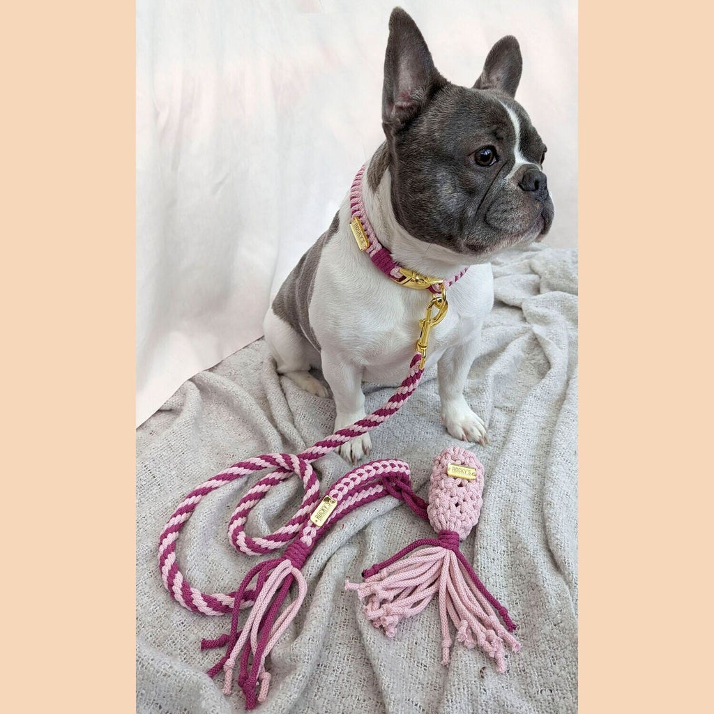 Make Your Own Dog Collar and Friendship Bracelet Craft Kit in Pink
