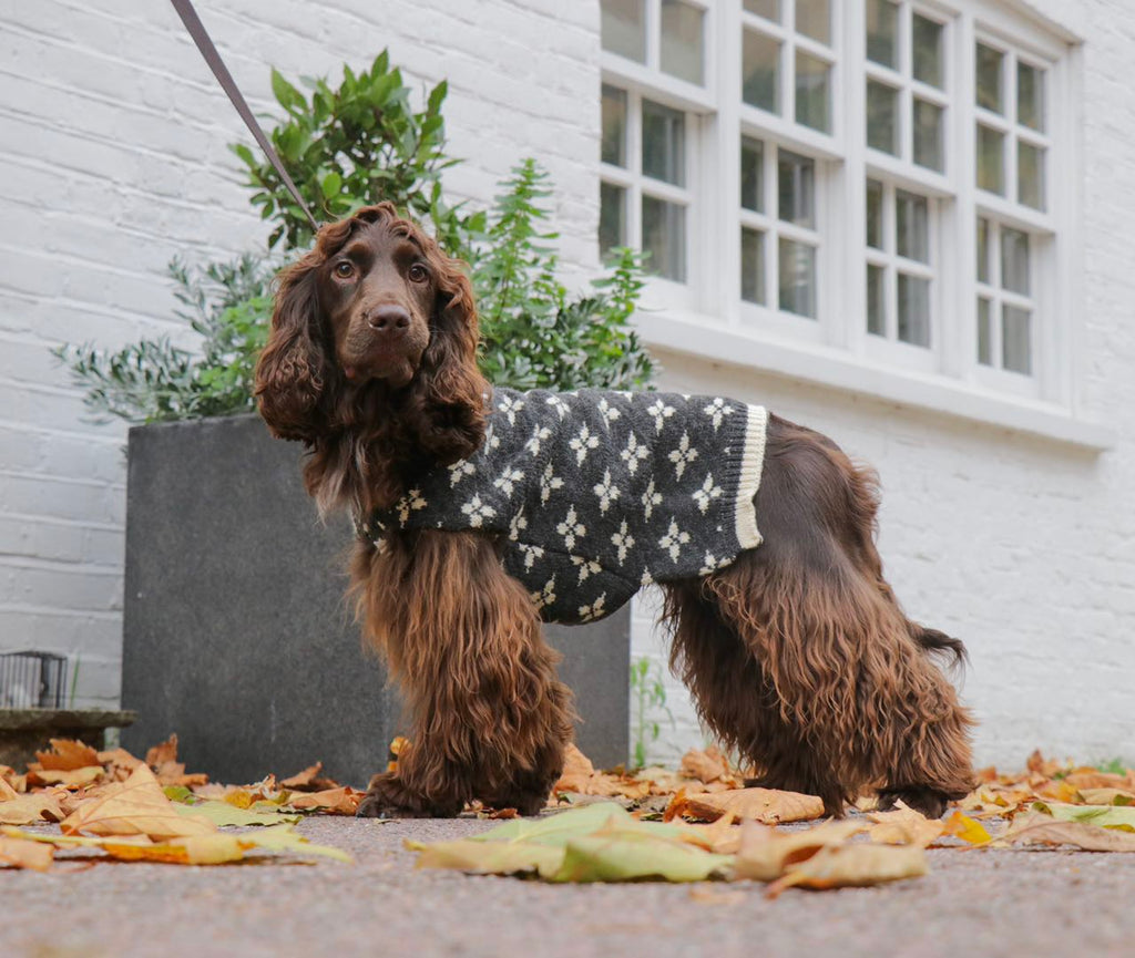 Sleeveless Floral Jacquard Jumper in Dark Grey