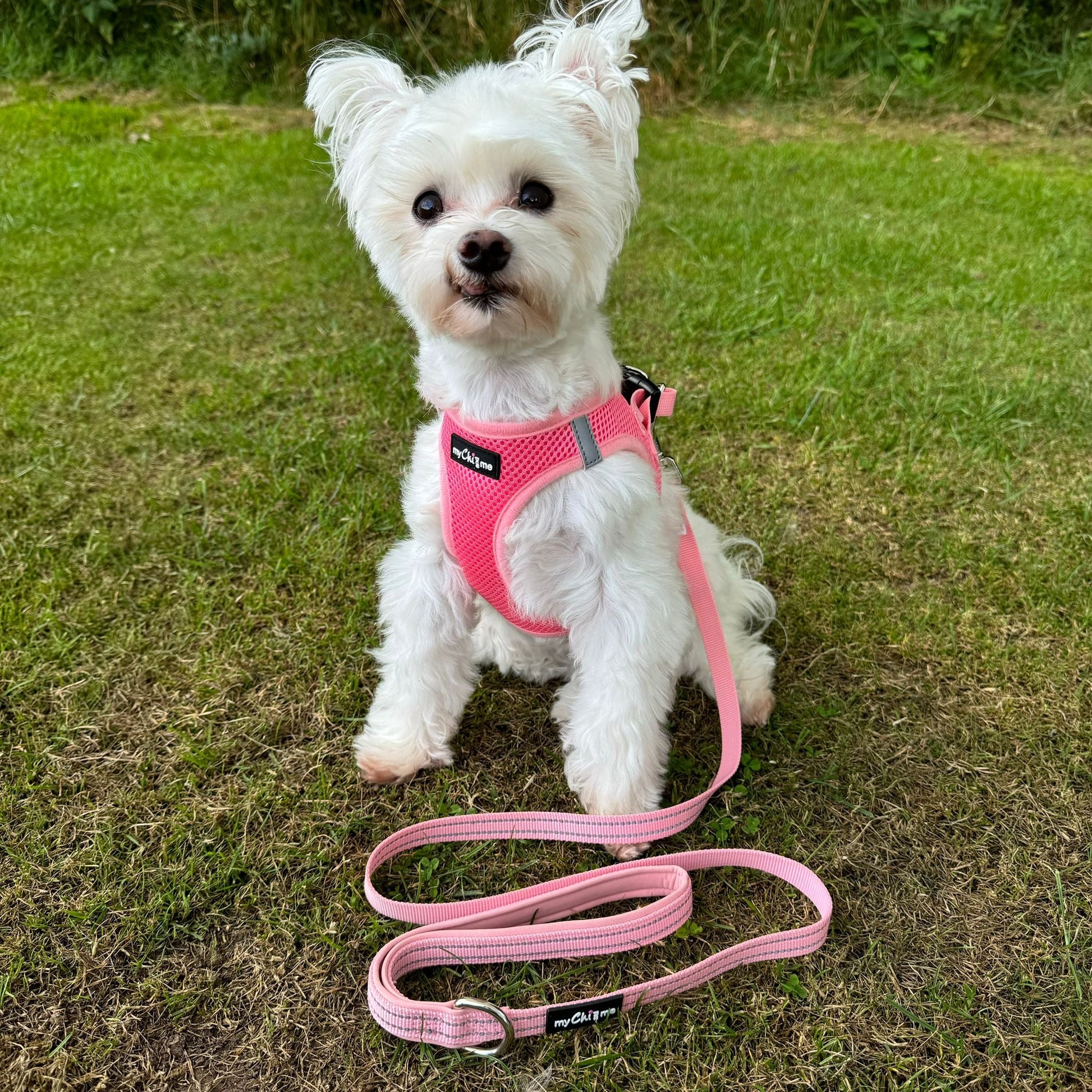 Tiny Trails Step In Air Mesh Puppy and Small Dog Harness in Pink