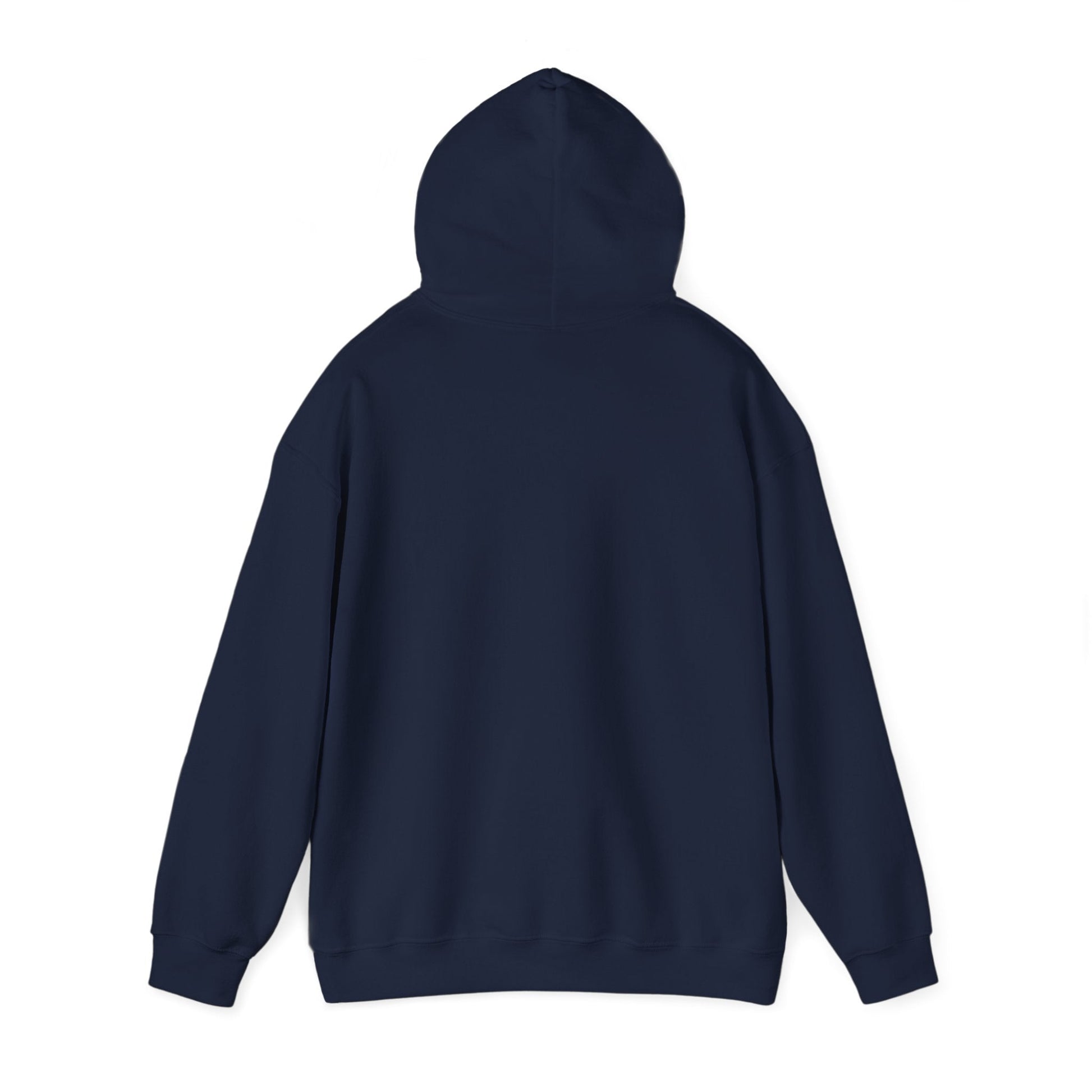 Money Can't Buy Happiness But It Can Buy Vinyl Men's Hoodie