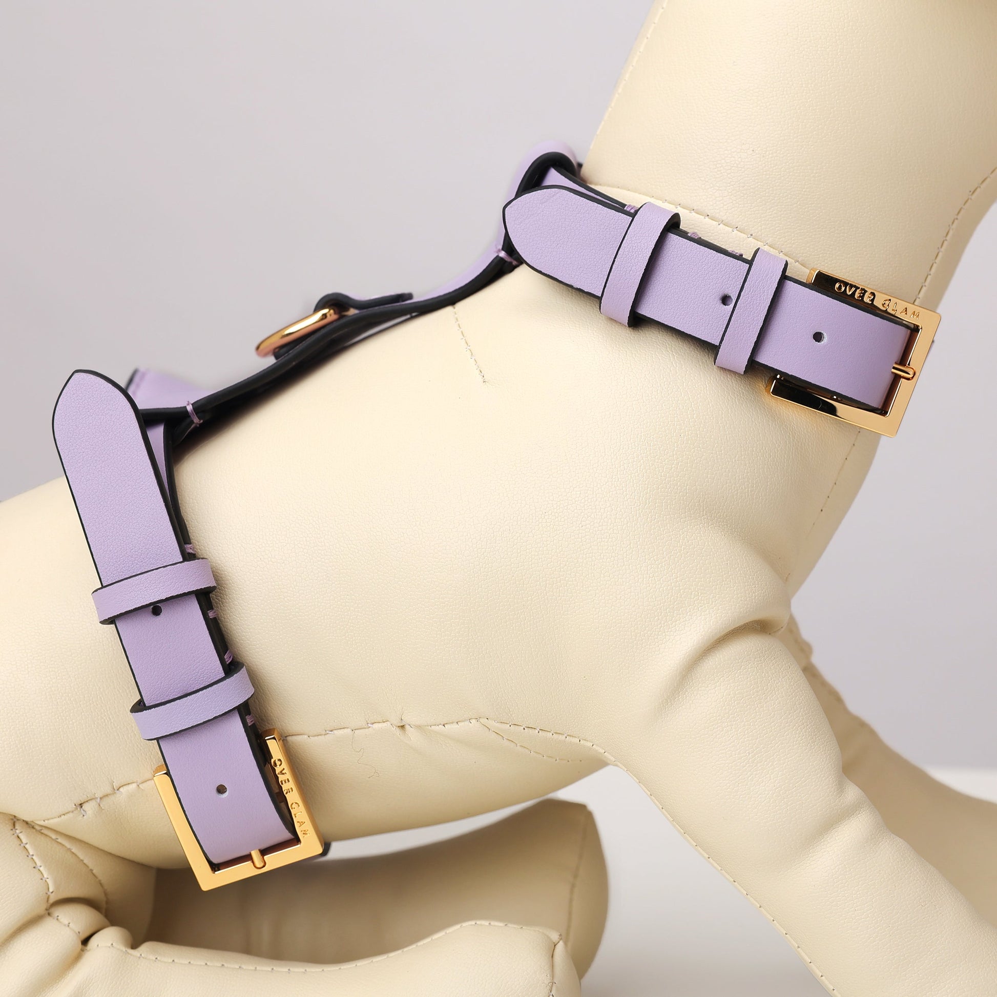 Puppy Pouch Harness