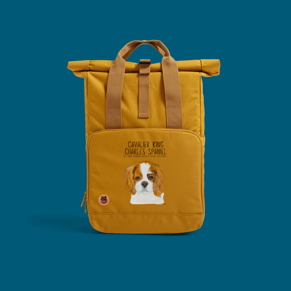 Sustainable Backpack with Cavalier Attitude