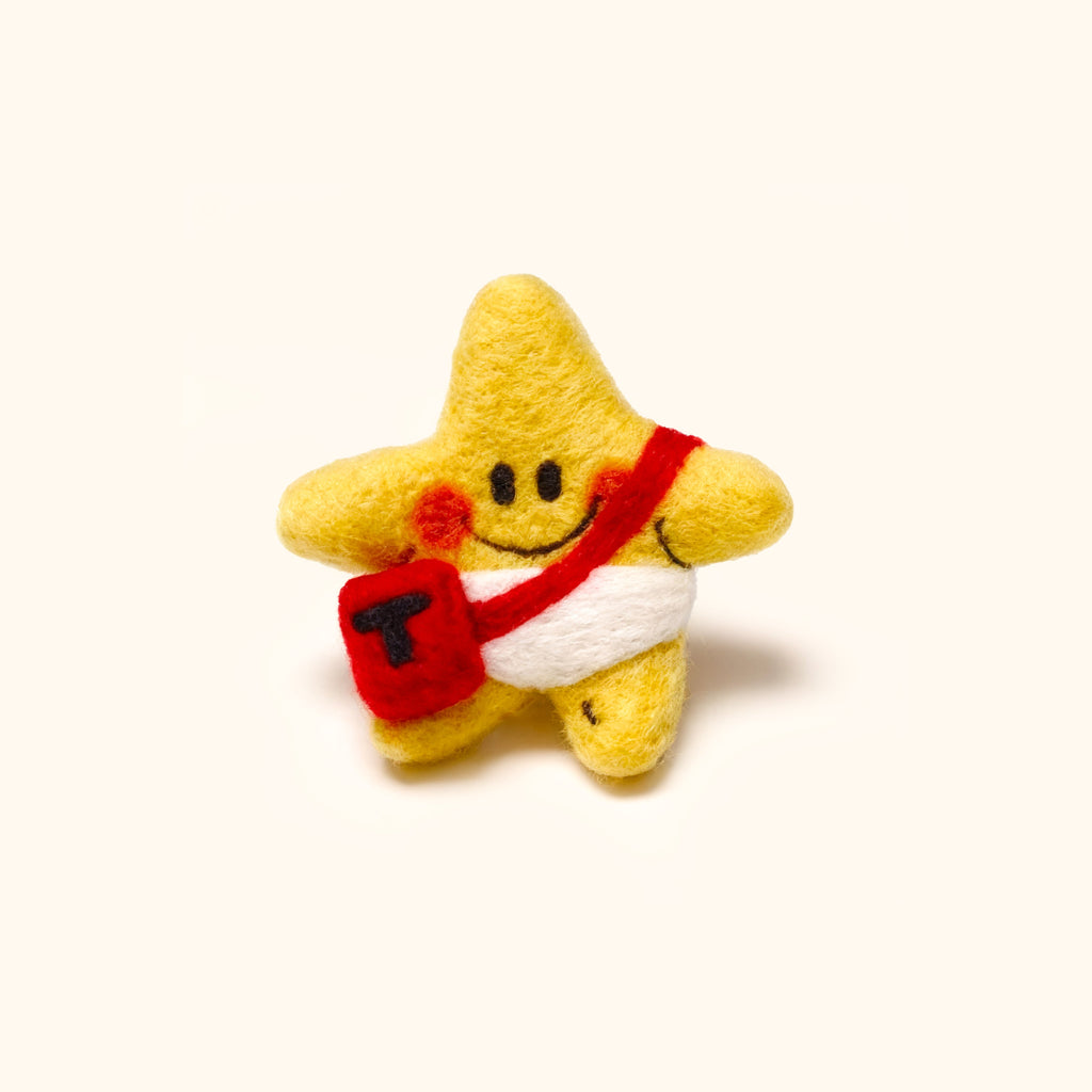 Star and Bag Needle Felted Brooch