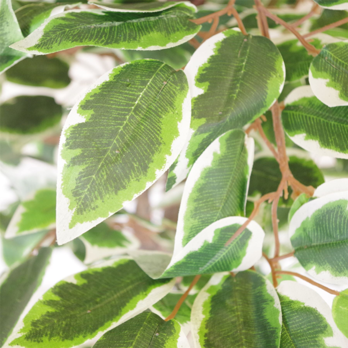 130cm Realistic White Edge Ficus Artificial Plant with Gold Metal Planter