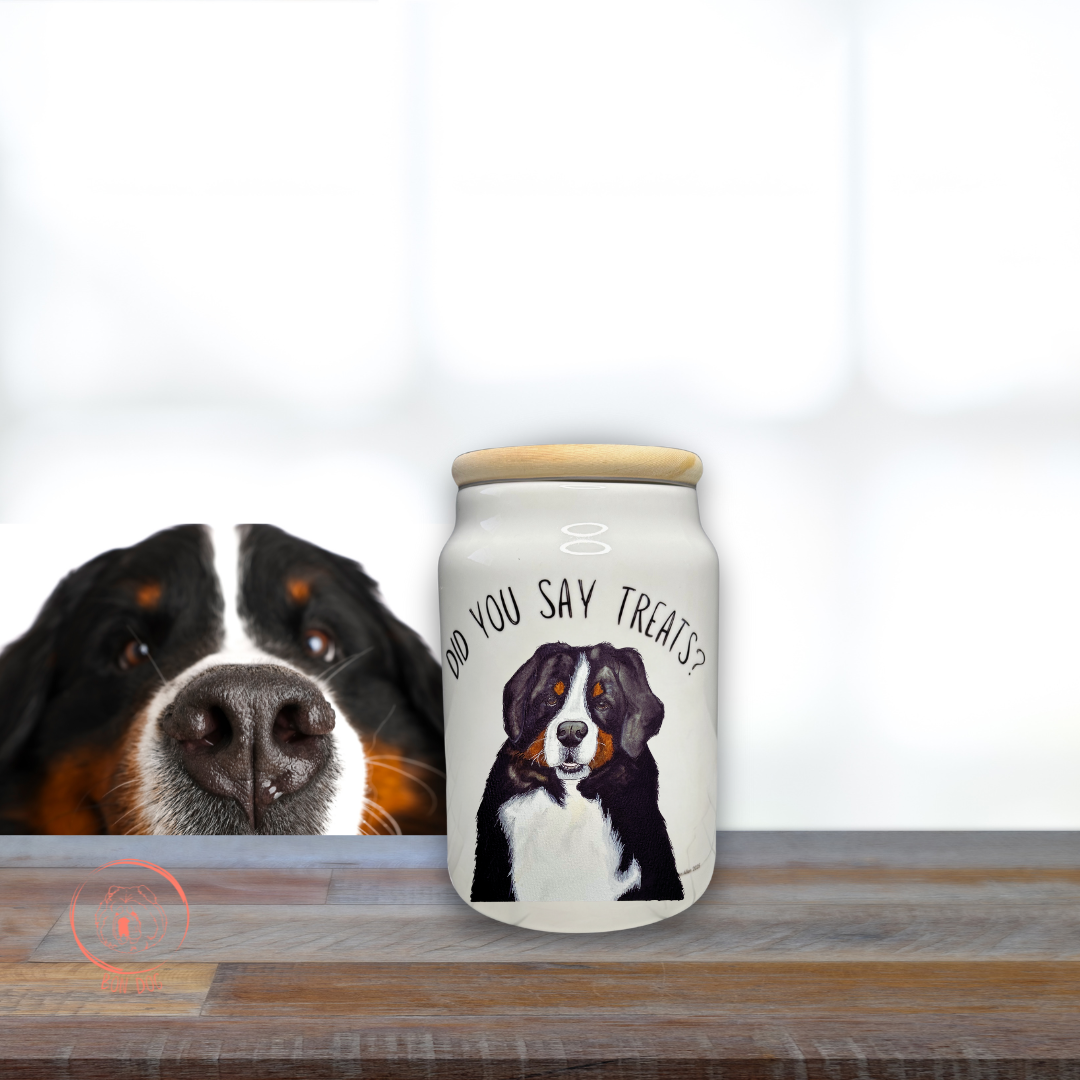 Ceramic Treat Jar for Dogs with Wooden Lid