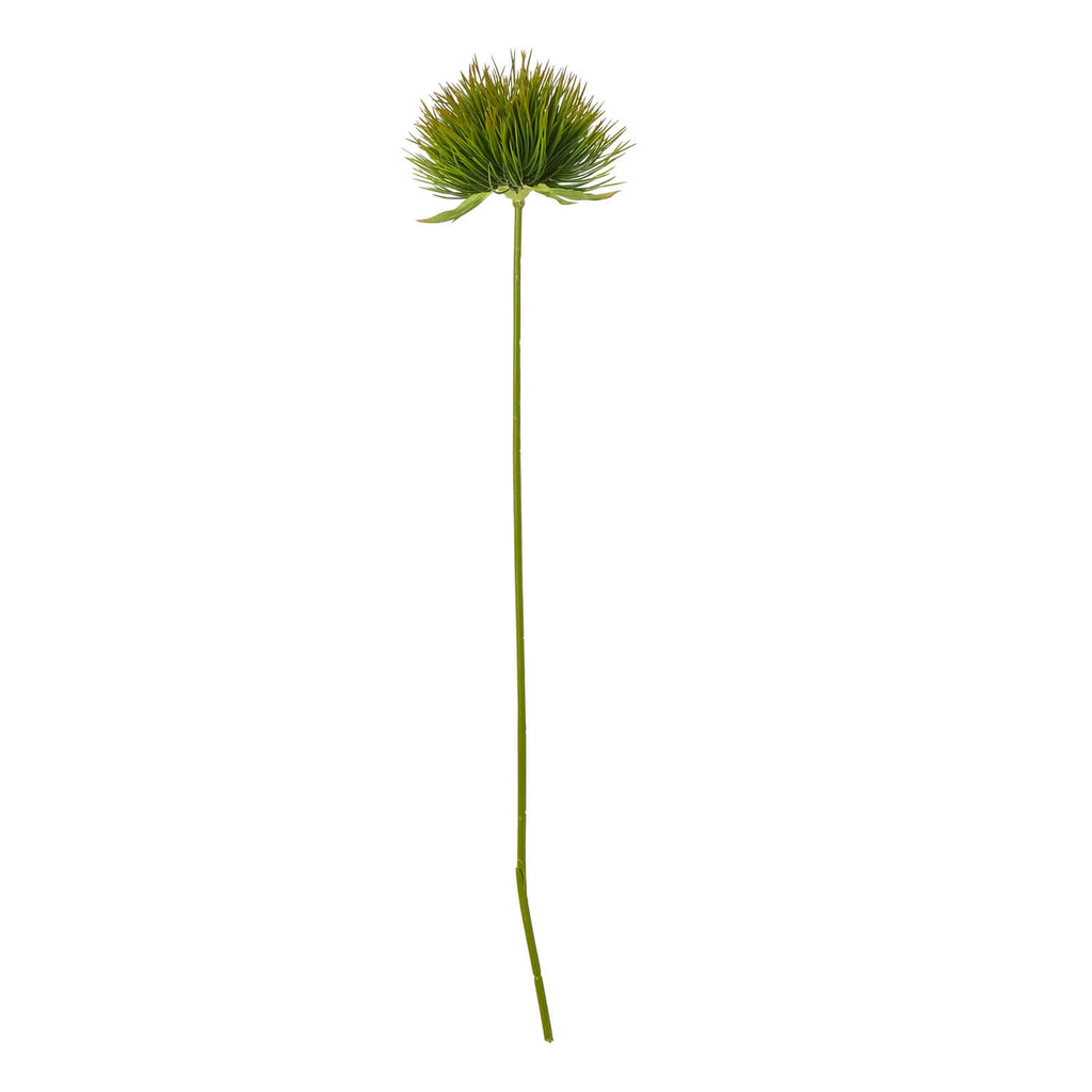 Lifelike green moss stem decor, 67cm tall, hyper-realistic faux Tillandsia with feathery fronds, zero-maintenance by sostter at brixbailey.com
