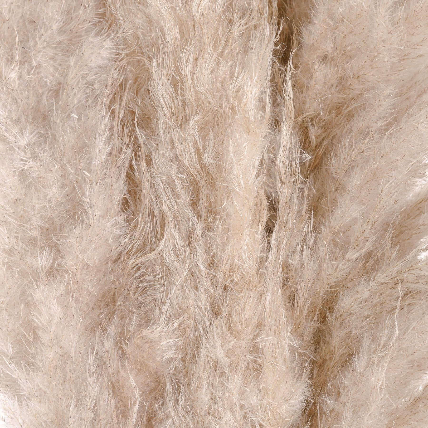 Natural cream dried pampas grass stem in stoneware vase, 110cm tall, for minimalist or lavish home dÃ©cor by RoomLondon at brixbailey.com