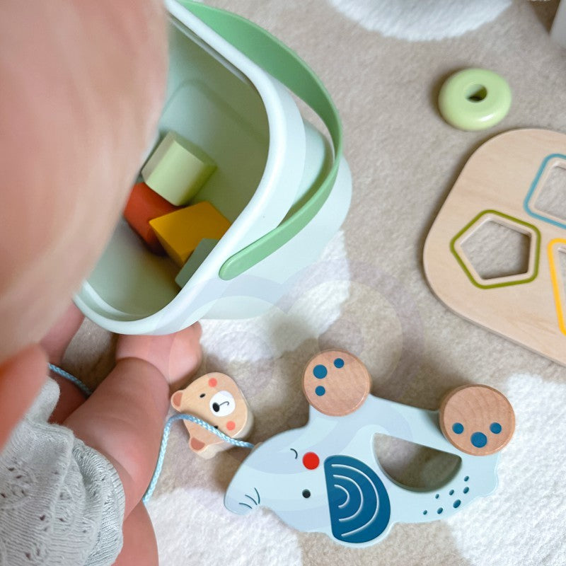 a child's hand pulling the wooden elephant on wheels from the 3in1 toy box set