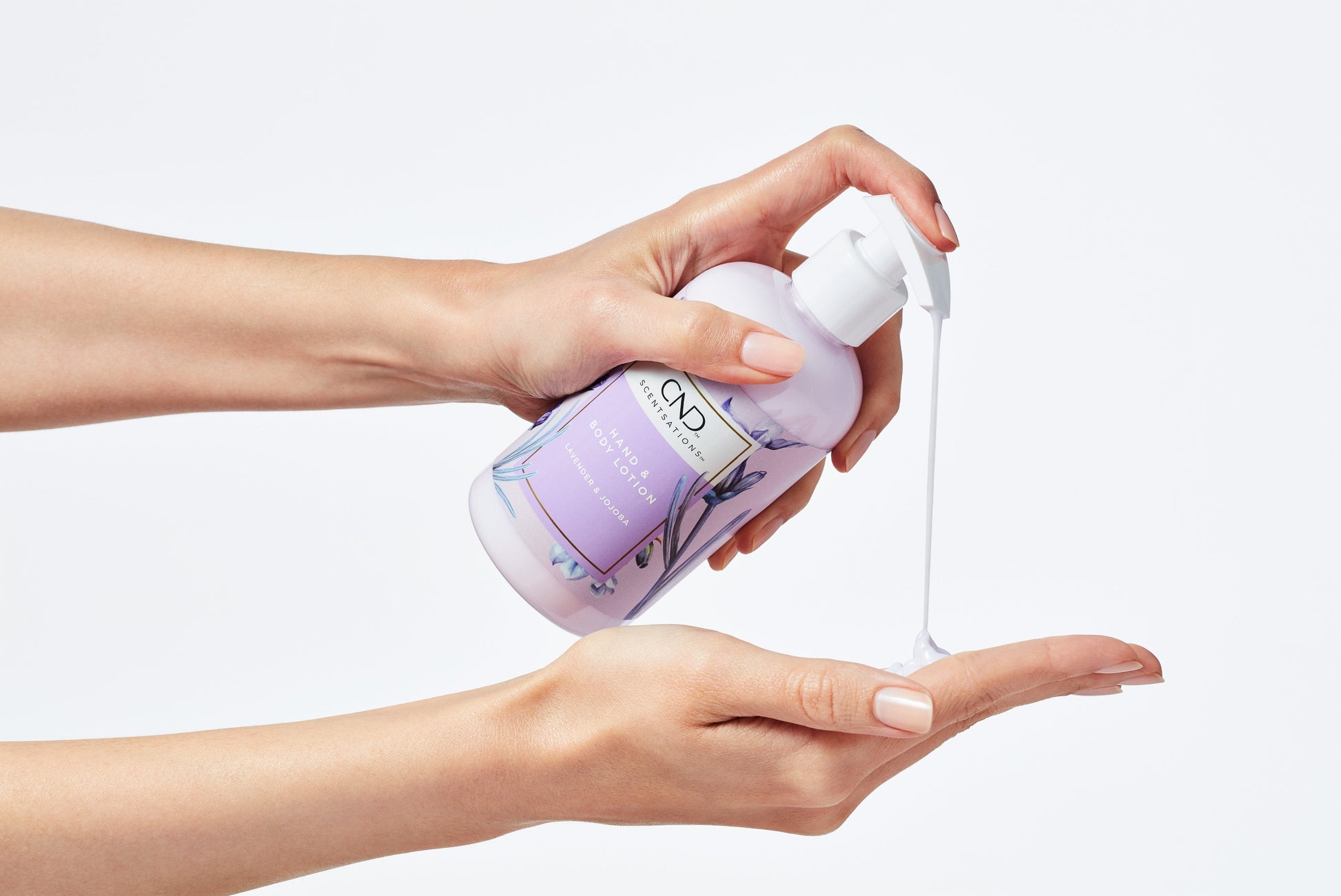 Lavender and Jojoba Hand and Body Lotion 245ml