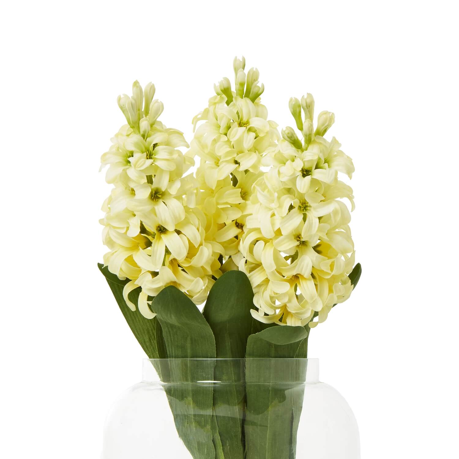 a playful close-up of a realistic yellow hyacinth stem, its golden petals glowing in soft light