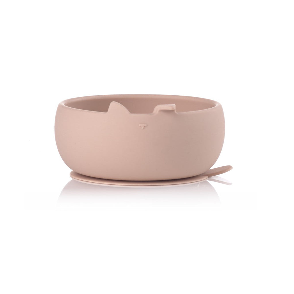 Silicone Bowl and Spoon Set for Baby's First Meals