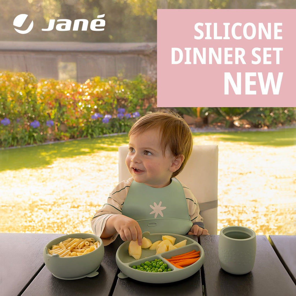 Silicone Plate with Animal Compartments for Baby Led Weaning