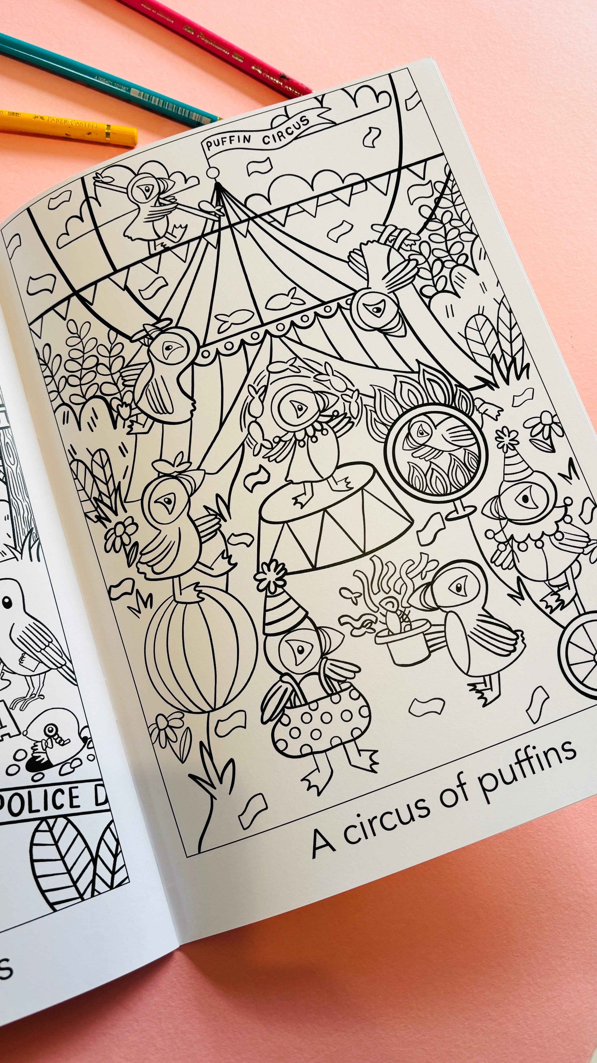 A Crown of Kingfishers Colouring Book