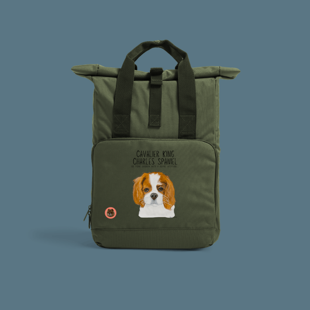 Sustainable Backpack with Cavalier Attitude