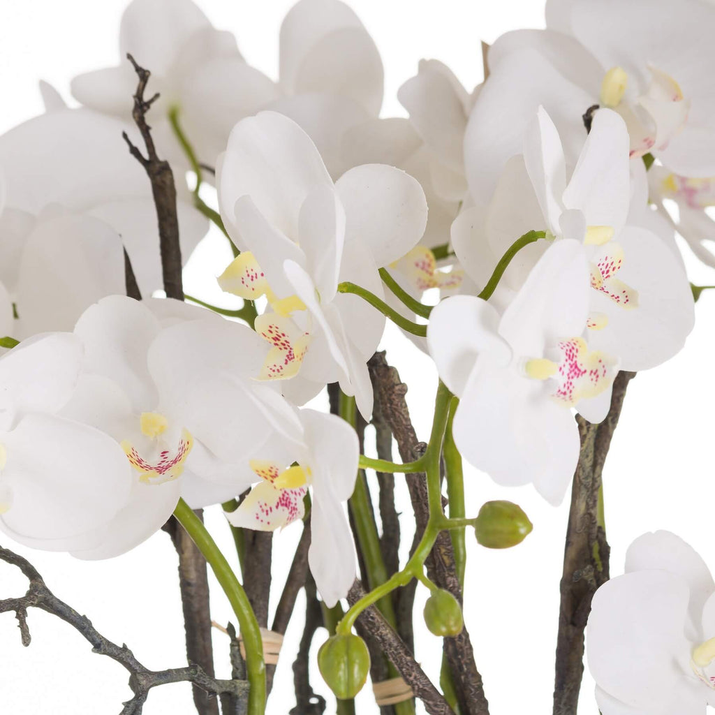 Handcrafted stone orchid planter with live orchid, 70cm tall, natural textures, elegant home decor centerpiece by RoomLondon at brixbailey.com