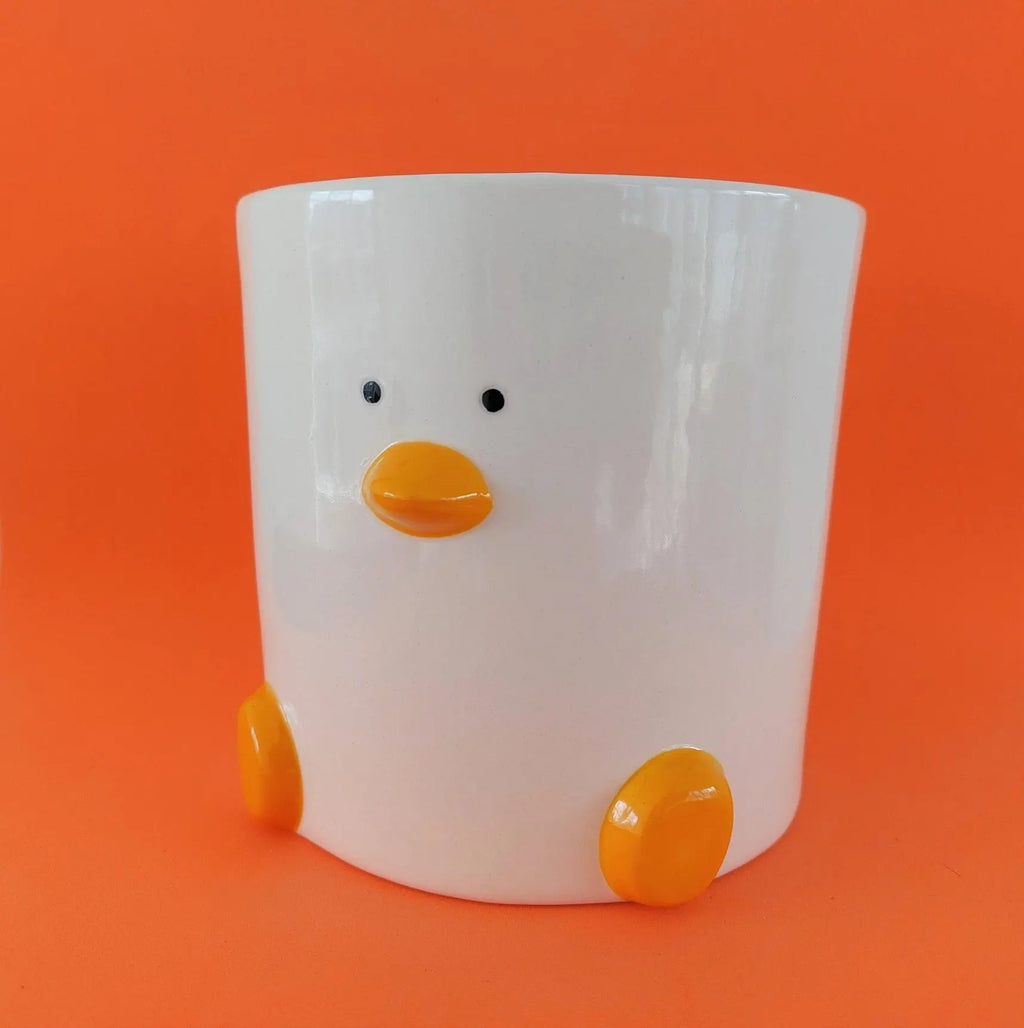 Duck Plant Pot 12cm with Drainage
