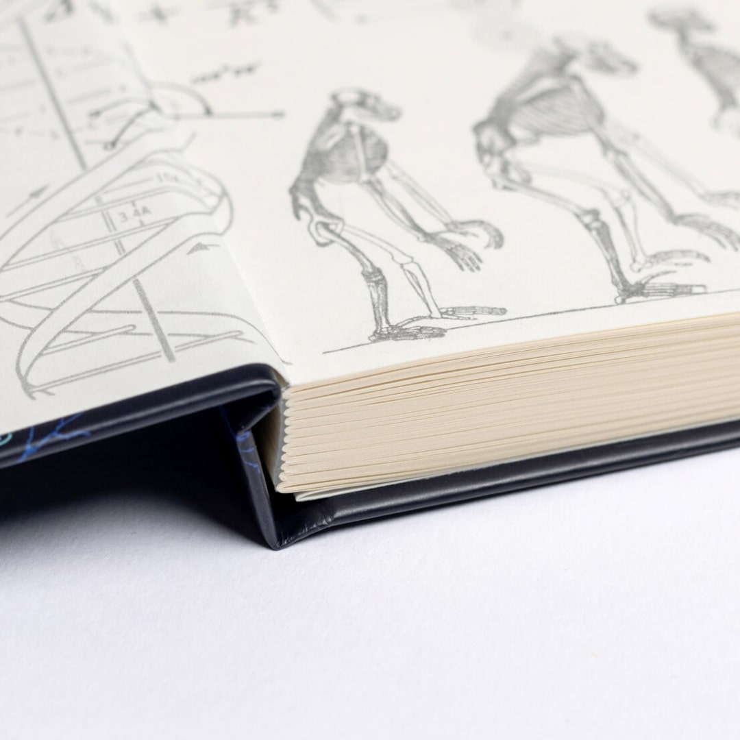 Paleontology A5 Hardcover Notebook