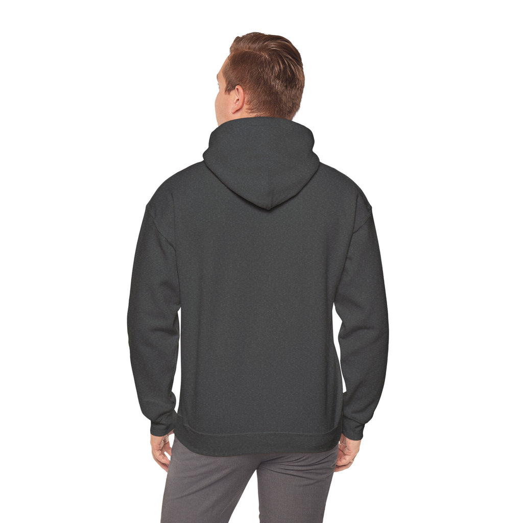 Money Can't Buy Happiness But It Can Buy Vinyl Men's Hoodie