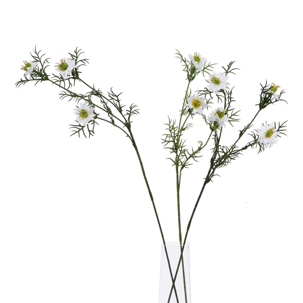 Delicate white Nigella floral stem with intricate seed pods and feathery foliage for elegant arrangements. by sostter at brixbailey.com