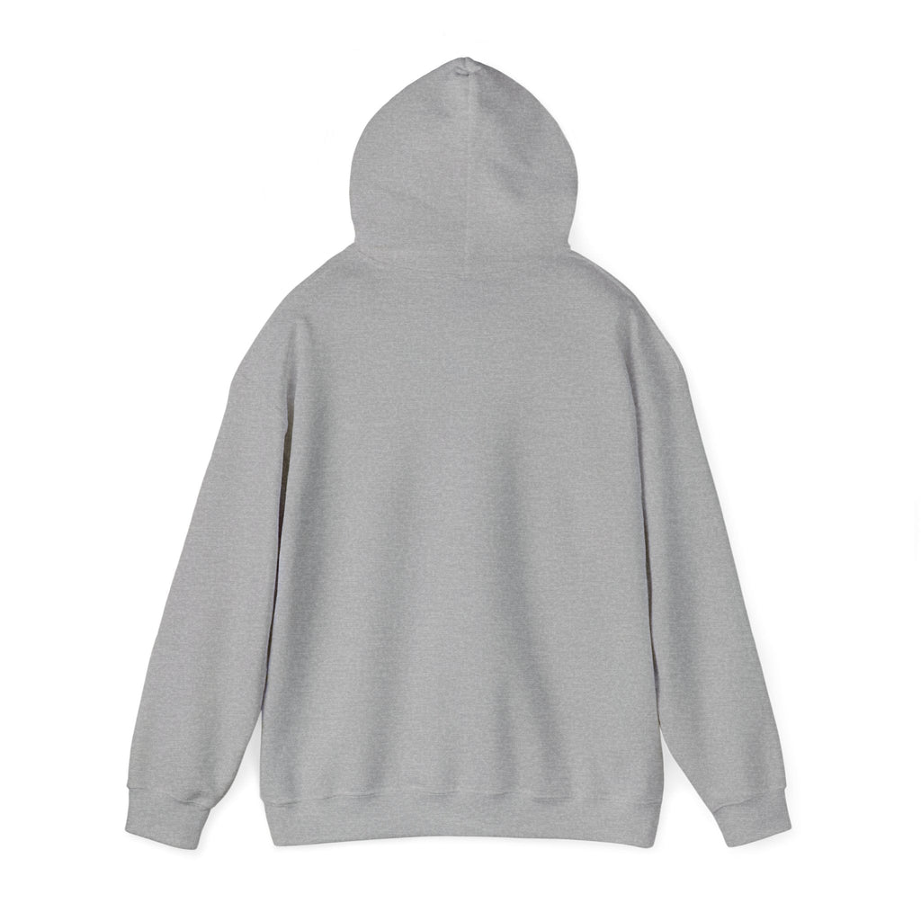 Money Can't Buy Happiness But It Can Buy Vinyl Men's Hoodie