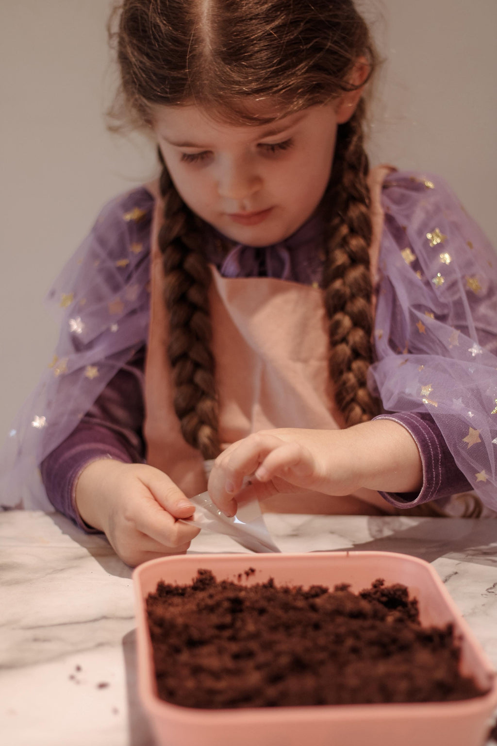 Fairy Garden Starter Kit with Apron, Tray, Shovel, Fairies, Soil and Seeds
