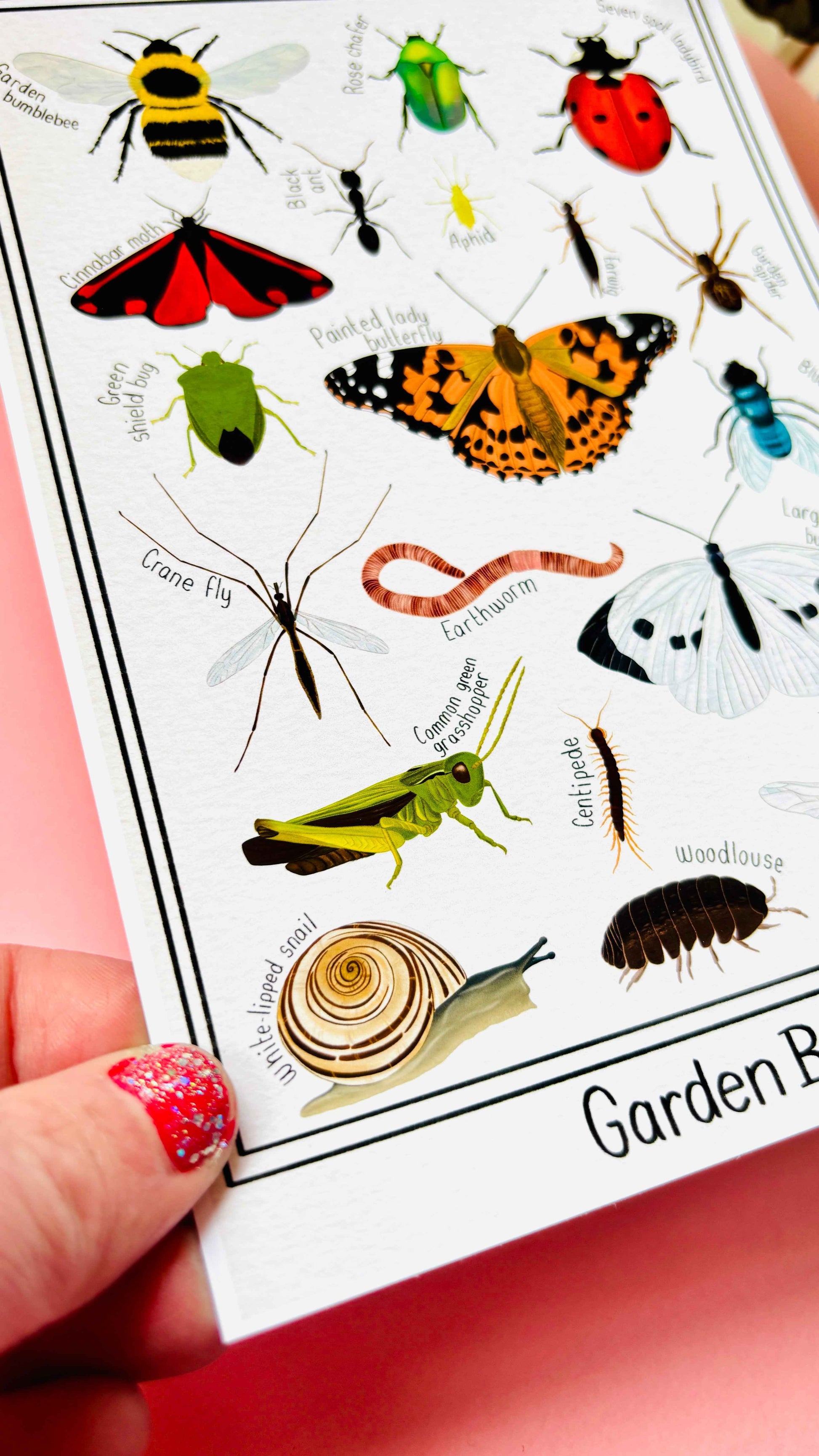 Garden Bug Wall Art Print Educational Nature Illustration