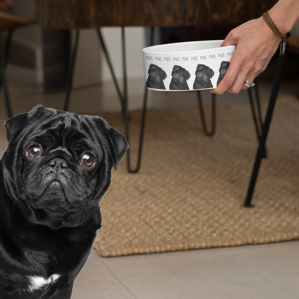 Black Ceramic Dog Bowl for Pugs