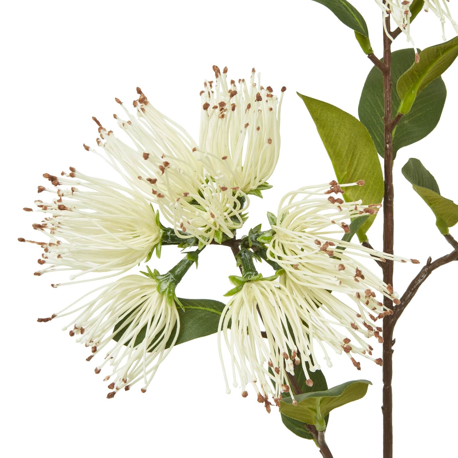 Cream Protea Nitida spray artificial flowers with green foliage, 65cm lifelike floral arrangement for home decor by sostter at brixbailey.com
