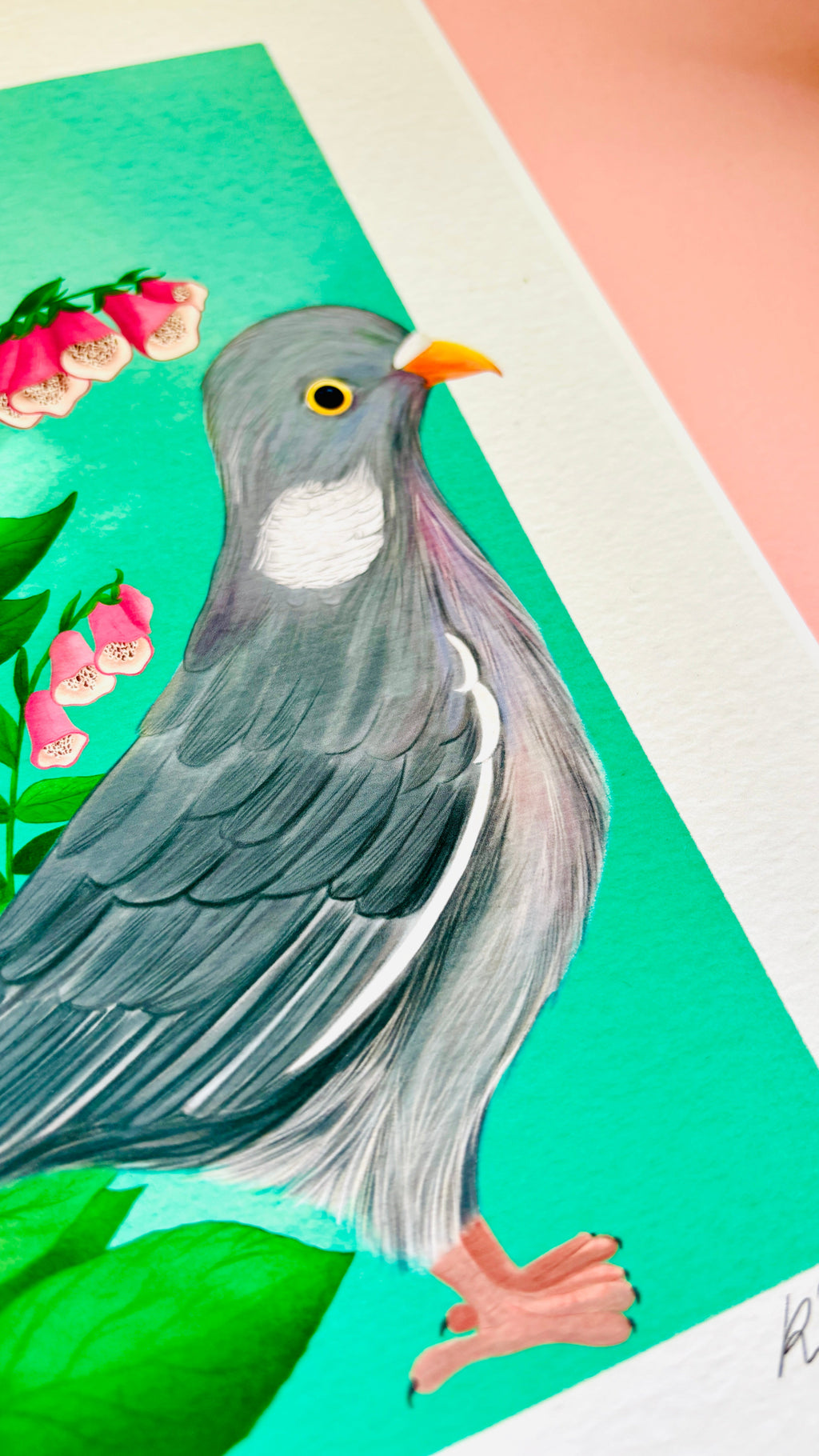 Wood Pigeon and Foxglove Art Print British Wildlife Illustration