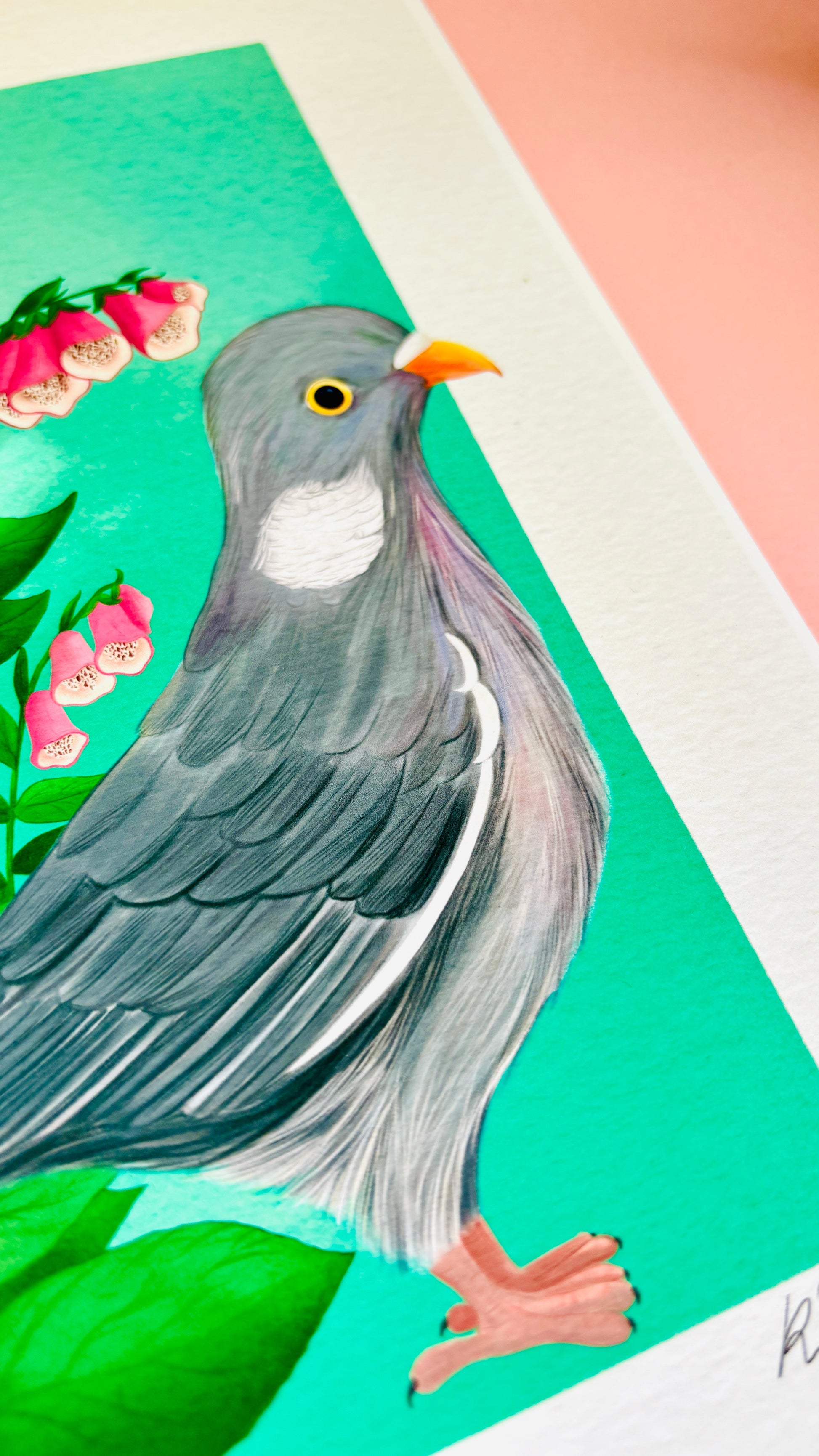 Wood Pigeon and Foxglove Art Print British Wildlife Illustration