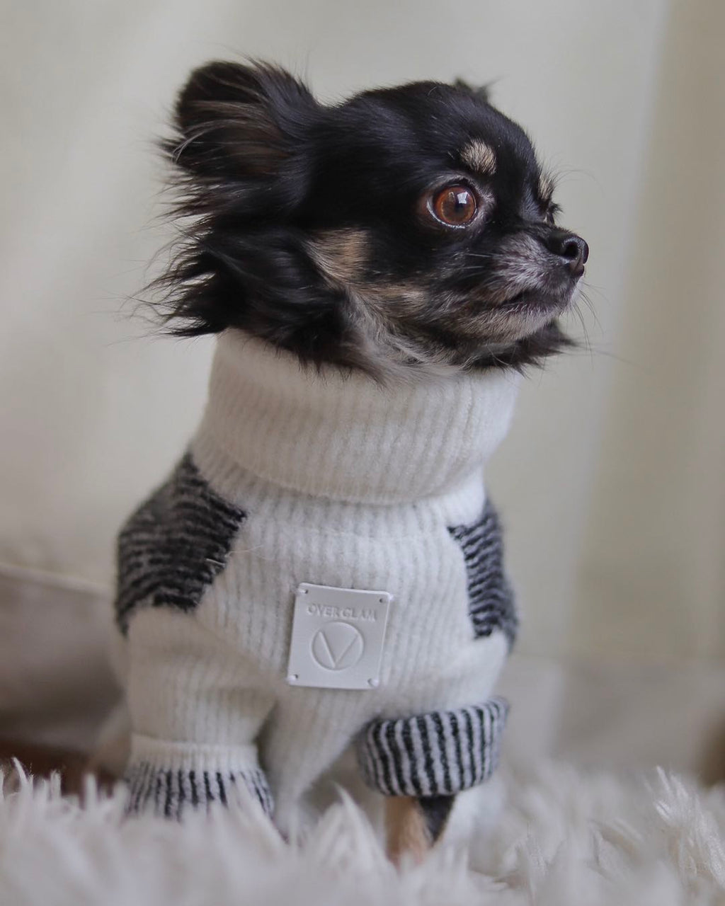 Contrast Stripe Turtleneck Jumper in Black and White