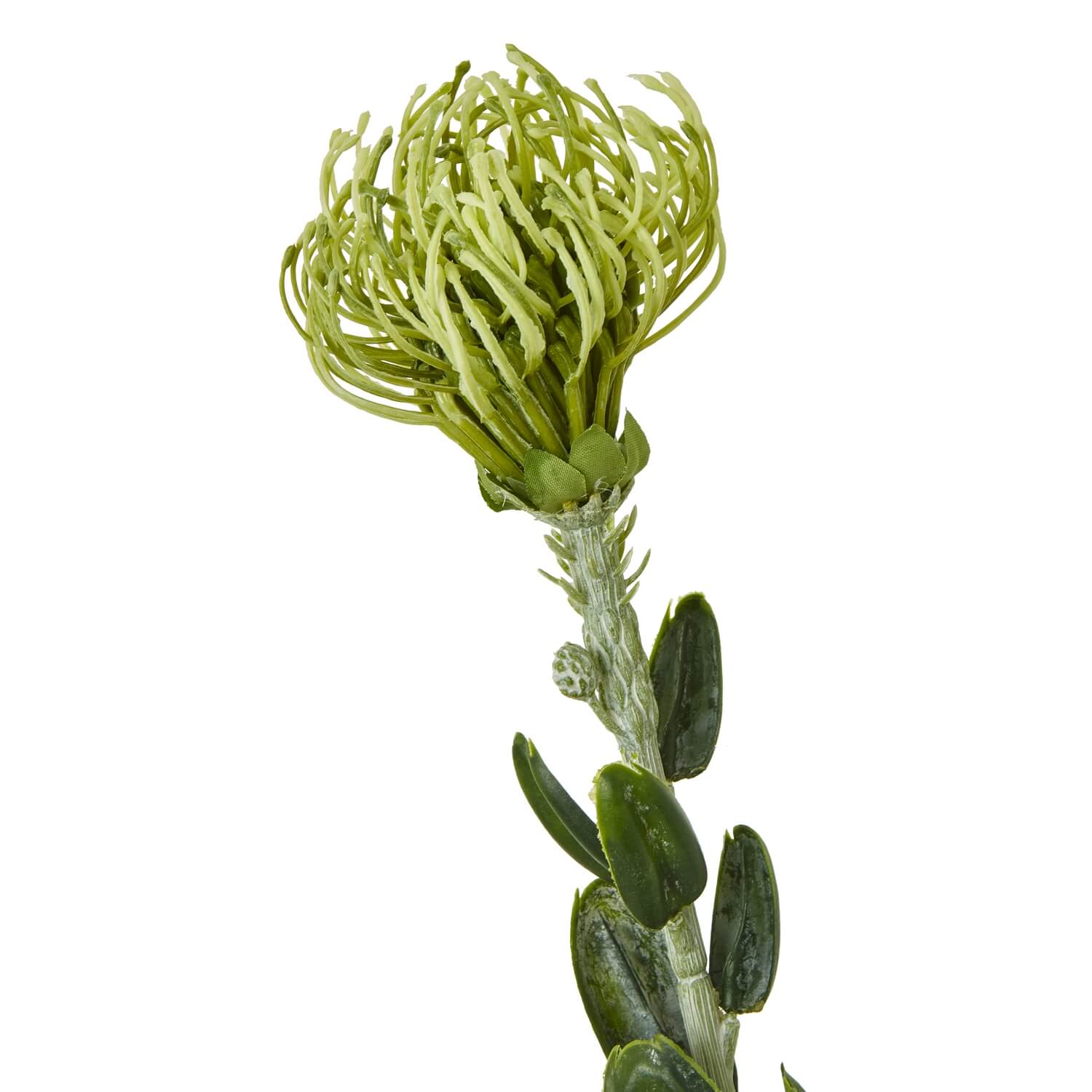 Lifelike pincushion protea spray with spherical blooms and lush green foliage, premium plastic faux botanical for home decor by sostter at brixbailey.com