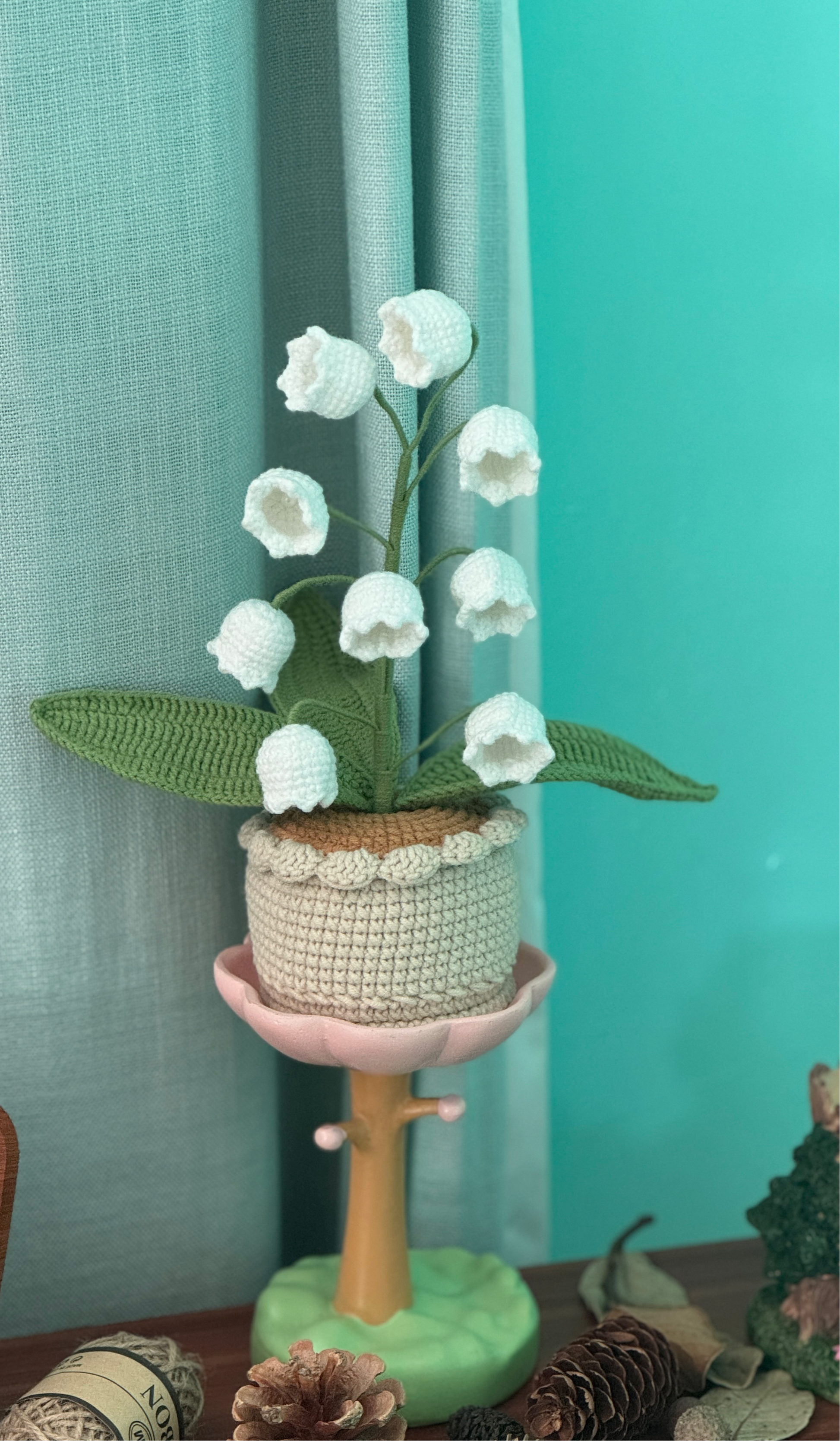 XXL Pot Plants Larger Size Bigger Smile