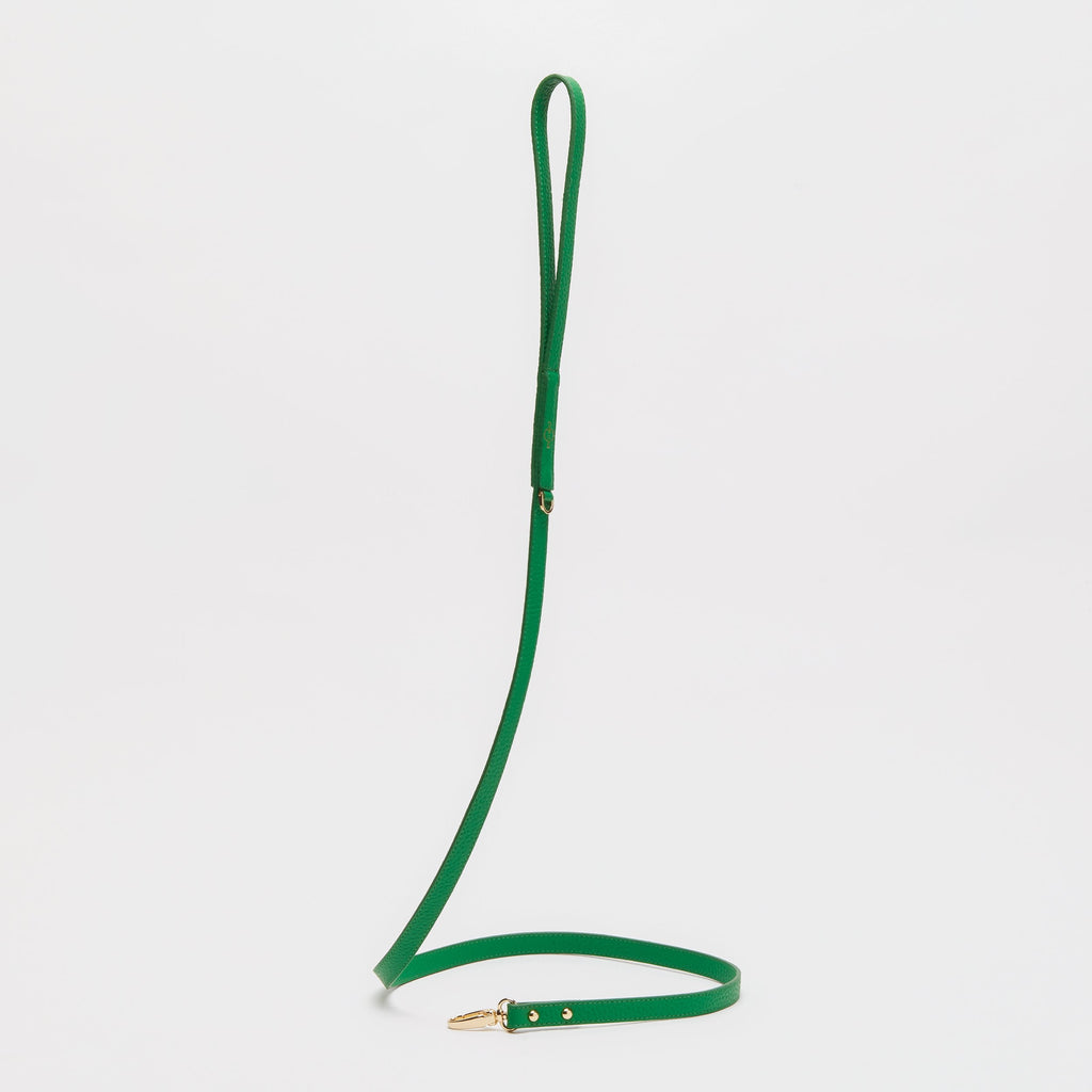 Leather Lead in Six Colours