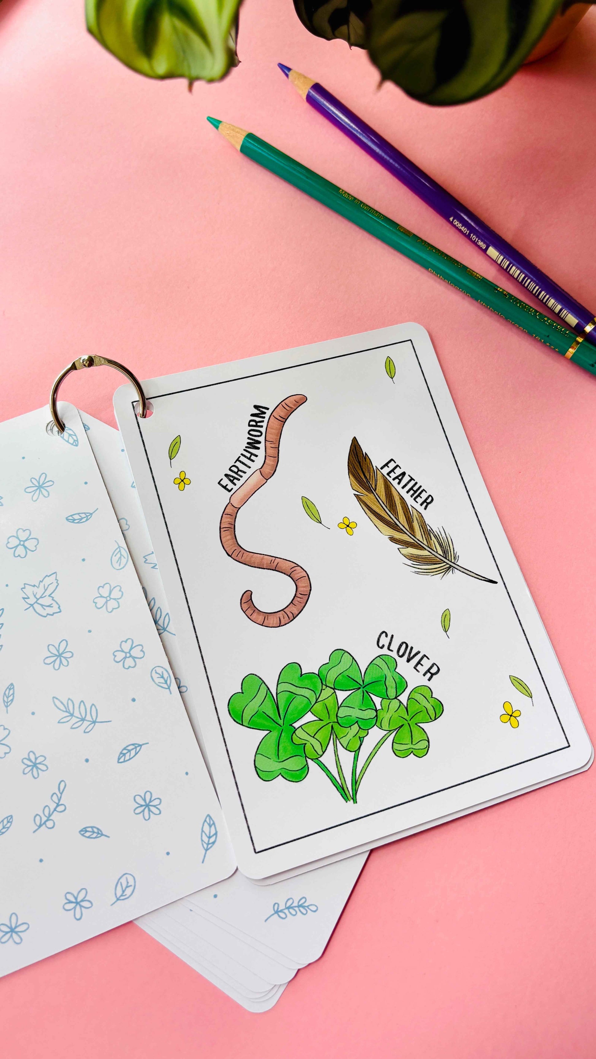 Nature Explorer Scavenger Hunt Cards Illustrated Educational Activity