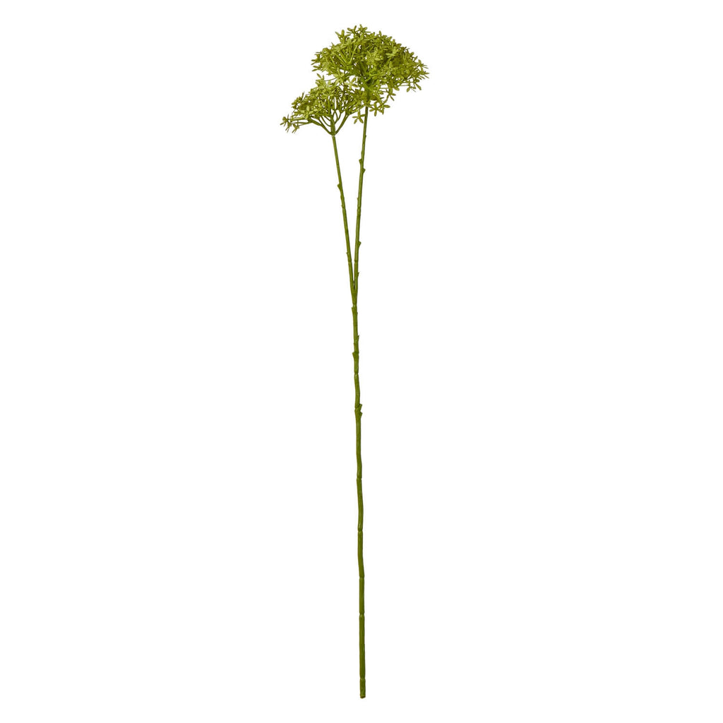 Lifelike green hydrangea stem with detailed blooms, natural hues, and sturdy plastic construction for vase arrangements. by sostter at brixbailey.com