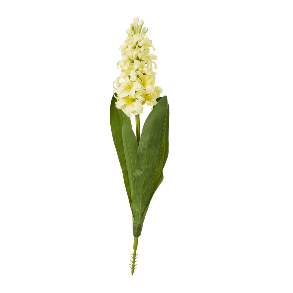 a bold close-up of a realistic yellow hyacinth stem in dramatic lighting
