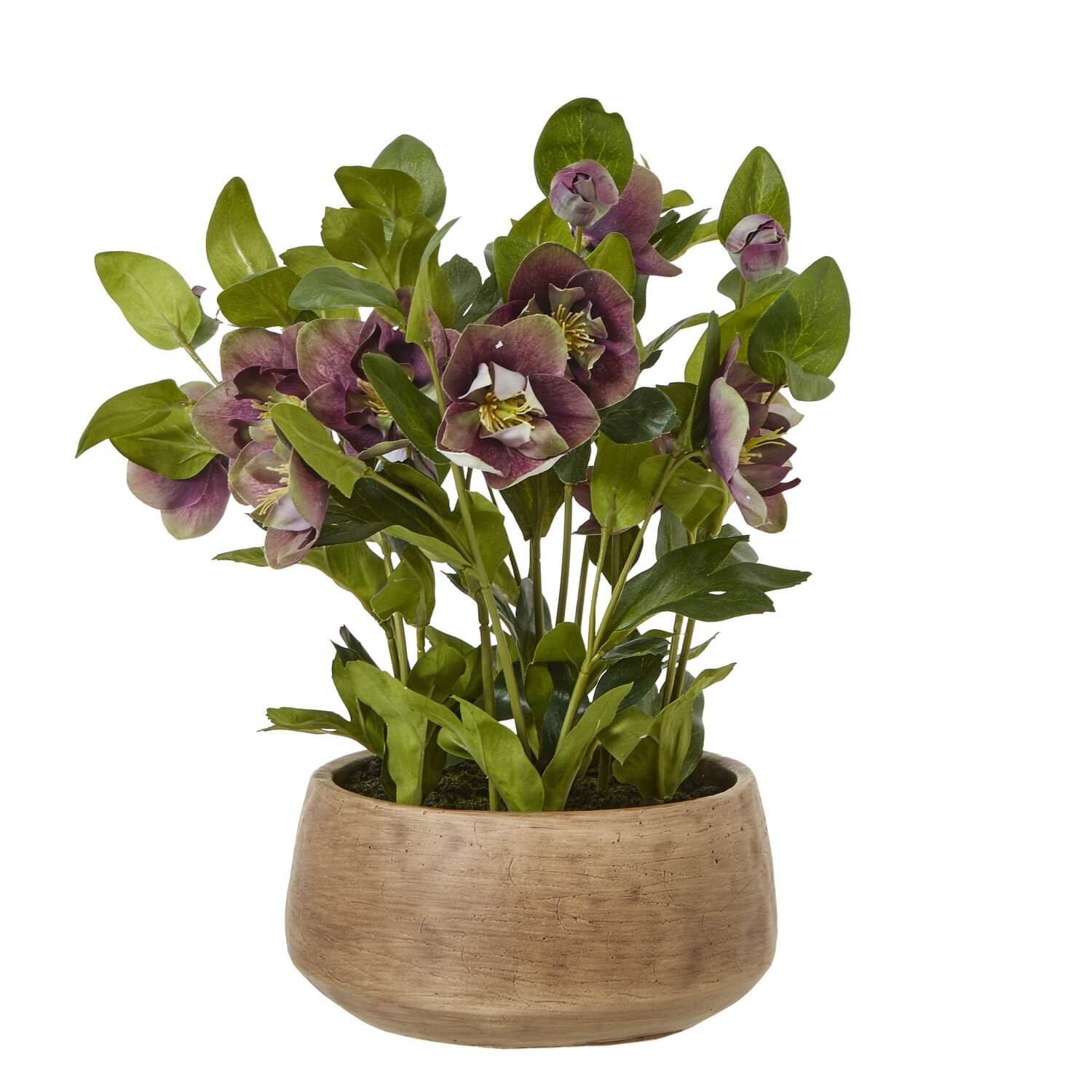 Lifelike plum faux hellebore in taupe ceramic pot, ultra-realistic blooms and foliage for home decor  by sostter at brixbailey.com