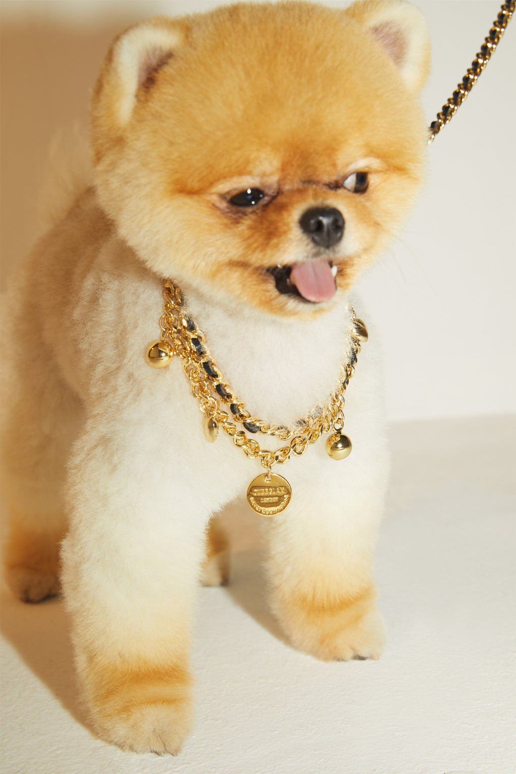 Golden Chain Lead and Collar