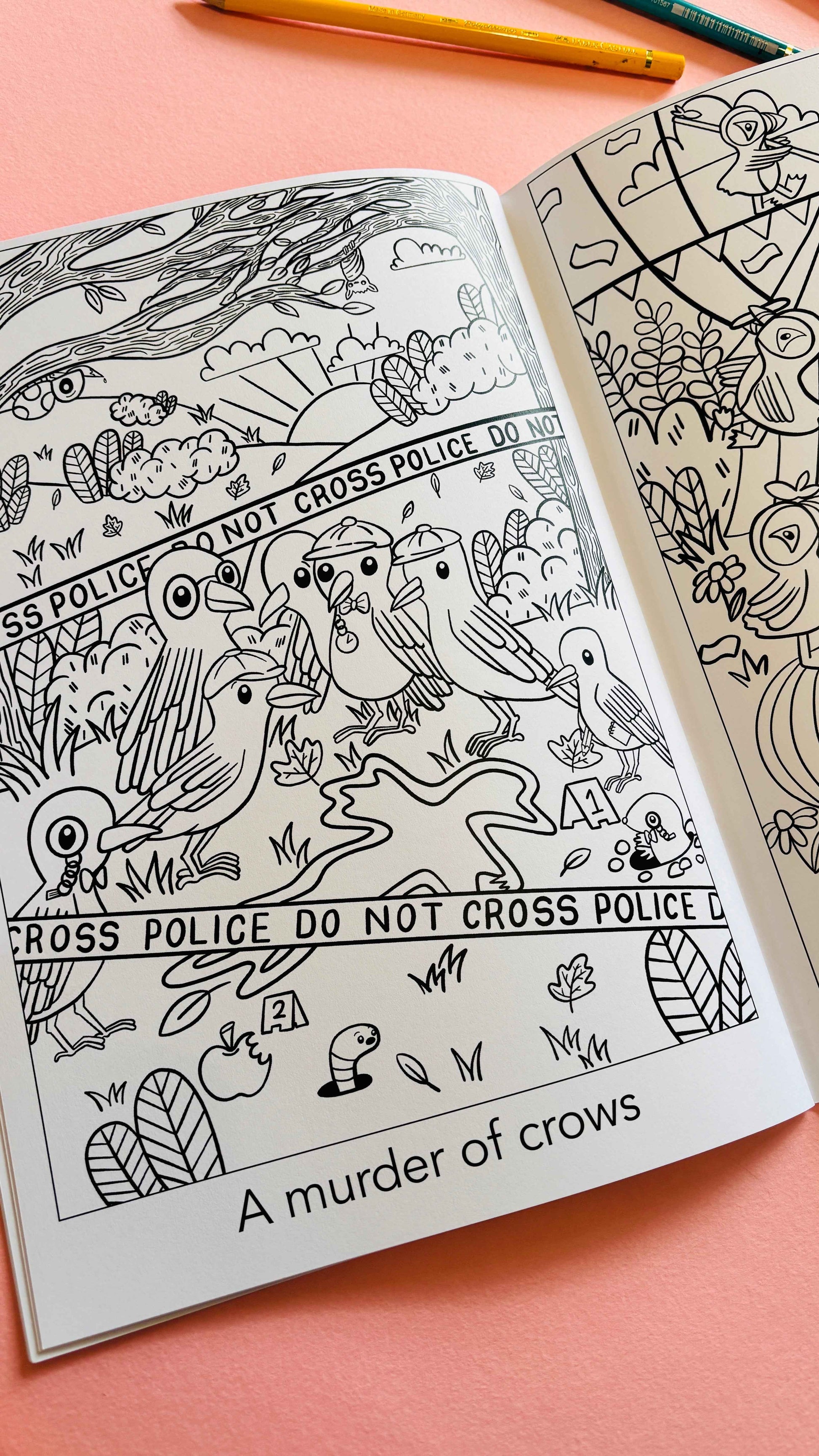 A Crown of Kingfishers Colouring Book