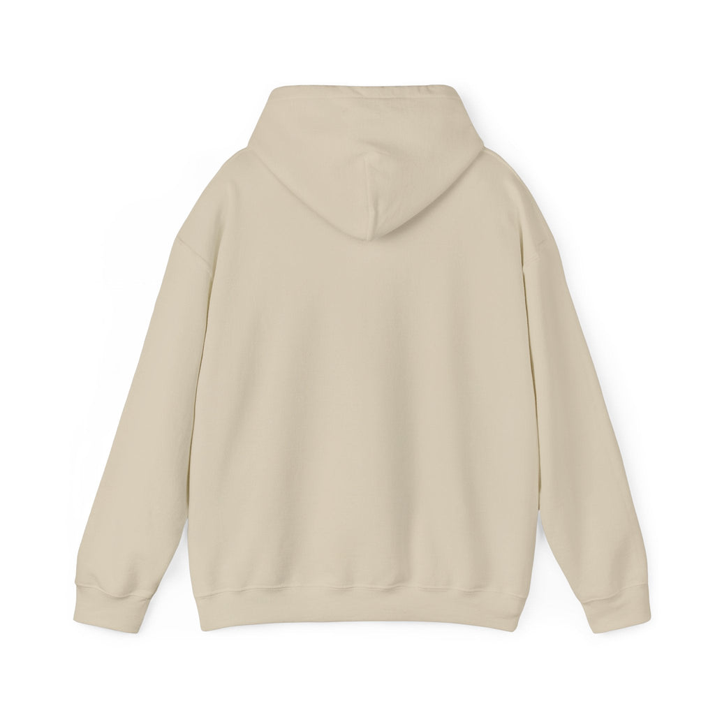 Just an Analog Guy in a Digital World Hooded Sweatshirt