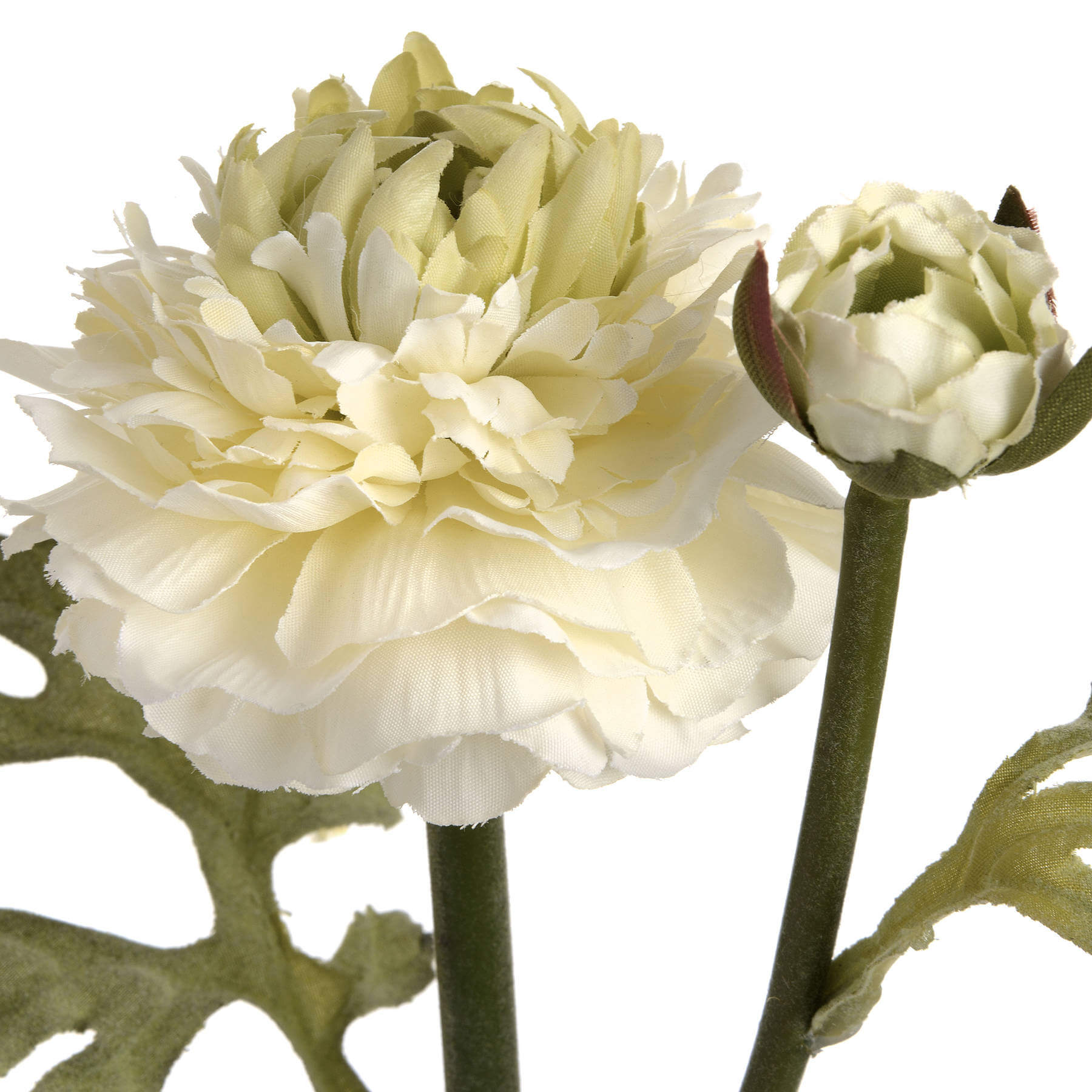 Green ranunculus spray with ultra-realistic plastic blooms in soft natural green, perfect for spring arrangements. by sostter at brixbailey.com