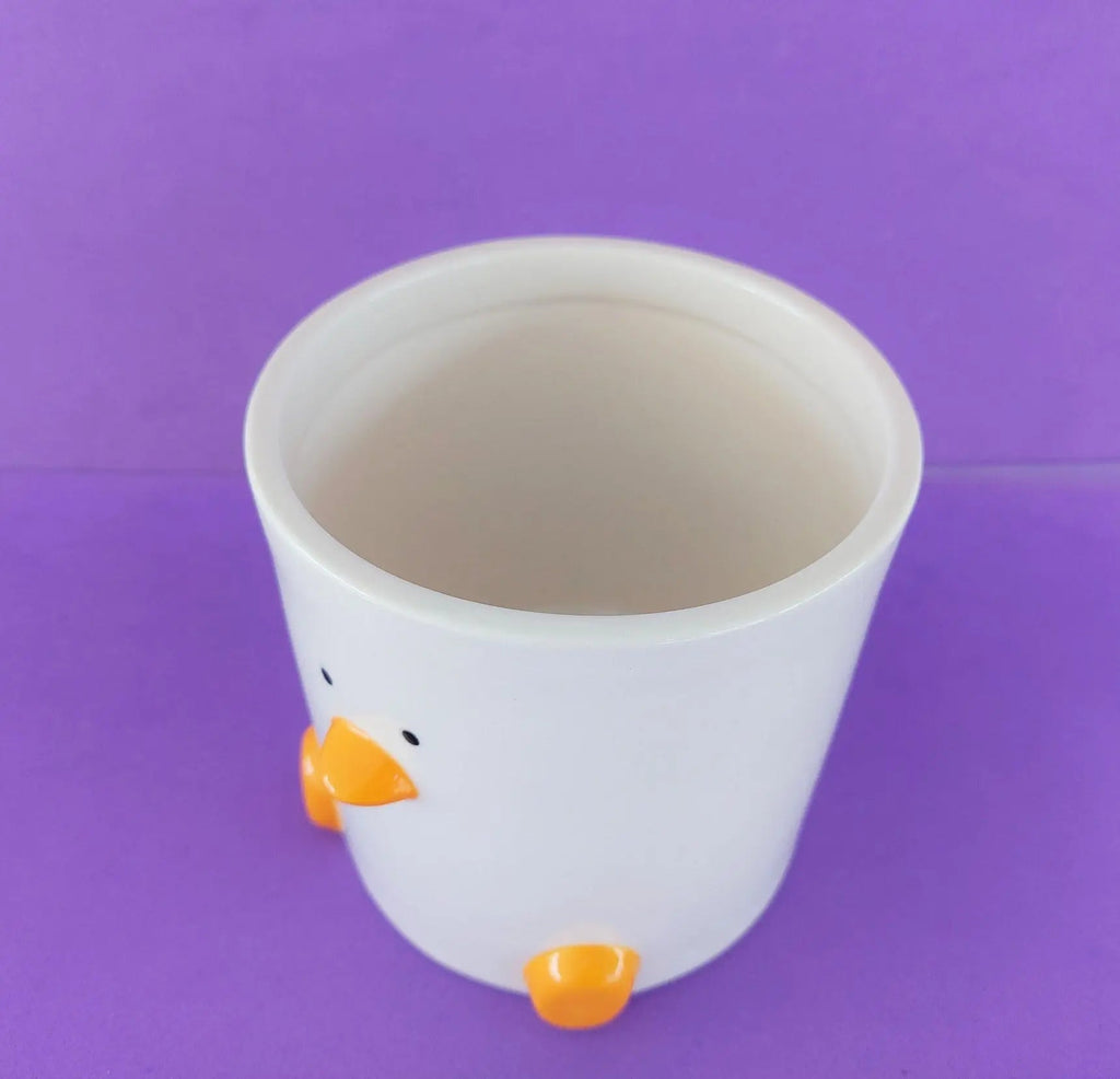 Duck Plant Pot 12cm with Drainage