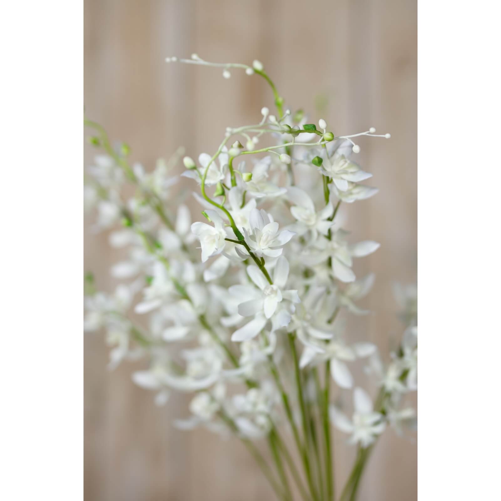 White cymbidium spray faux floral arrangement with lifelike blooms, perfect for modern home decor. by Sostter at brixbailey.com