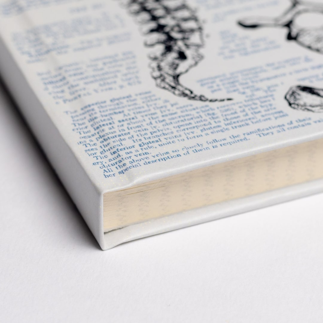 Anatomy A5 Hardcover Notebook
